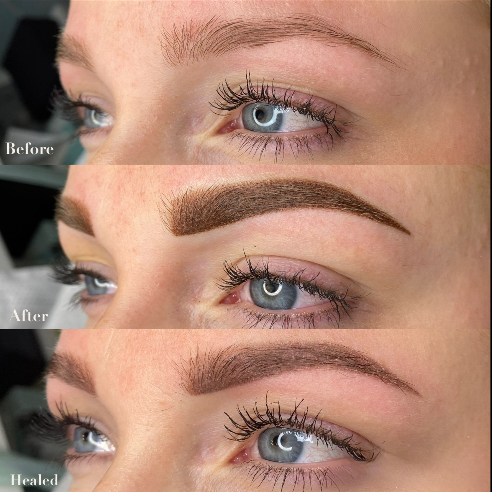 Powder Brows, before, after and healed 