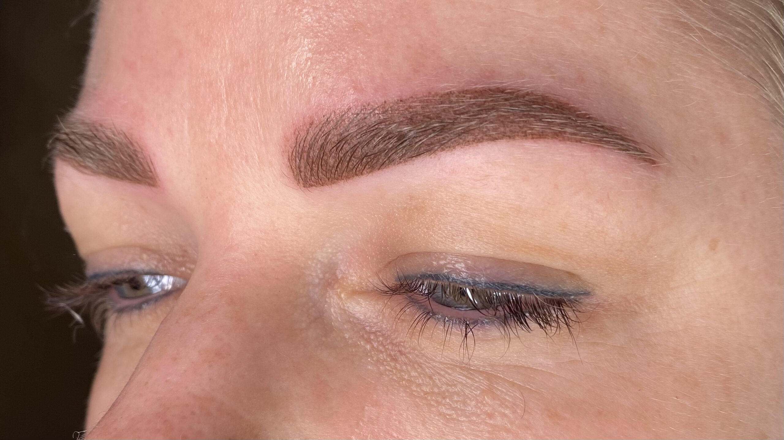 IMG_5259 Combi brows